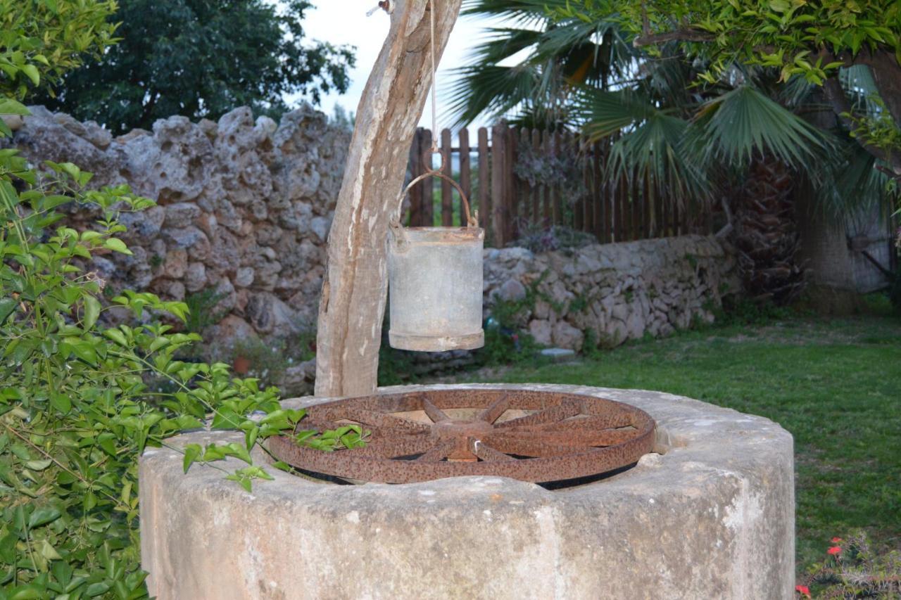 פלמה דה מיורקה Agroturismo Finca Son Amora מראה חיצוני תמונה