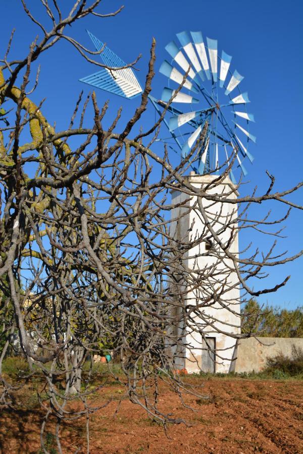 פלמה דה מיורקה Agroturismo Finca Son Amora מראה חיצוני תמונה