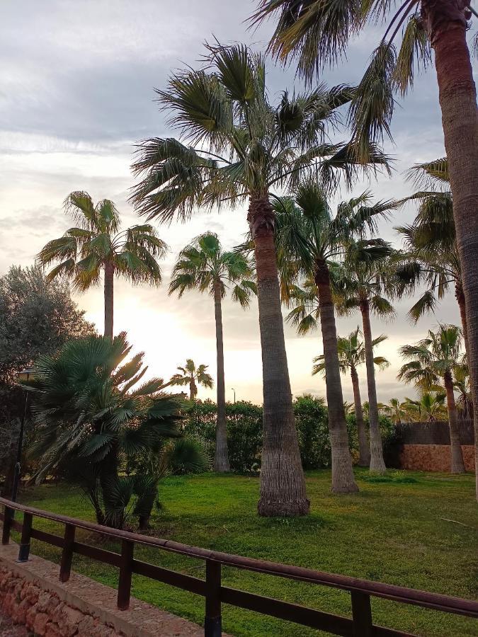 פלמה דה מיורקה Agroturismo Finca Son Amora מראה חיצוני תמונה